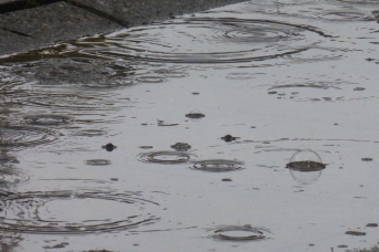 Raindrop Circles (Seattle, May 2104)