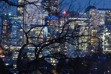 Twig Entangled Night City (Seattle, February, 2014)