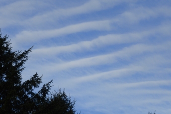 Waves of Clouds (Washington Coast,  April, 2014)