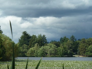 View of Seattle's Green Lake